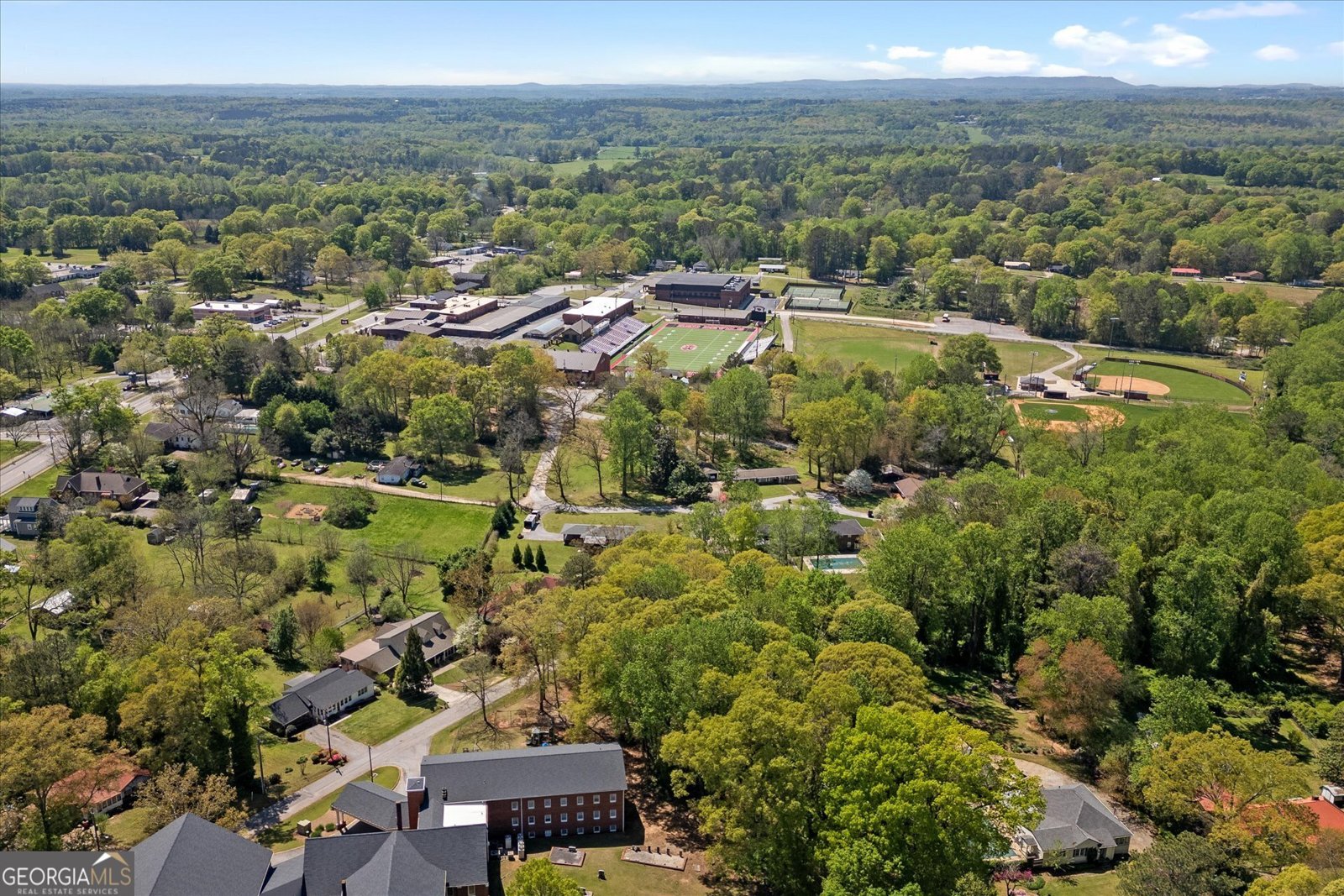 313 Ellenwood Drive Bowdon - 39