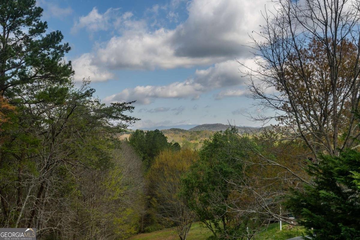 252 Brookhaven Drive Blairsville - 40