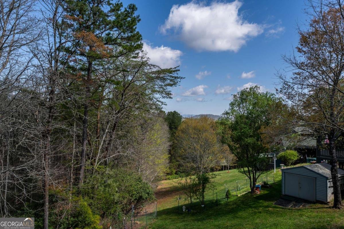 252 Brookhaven Drive Blairsville - 41