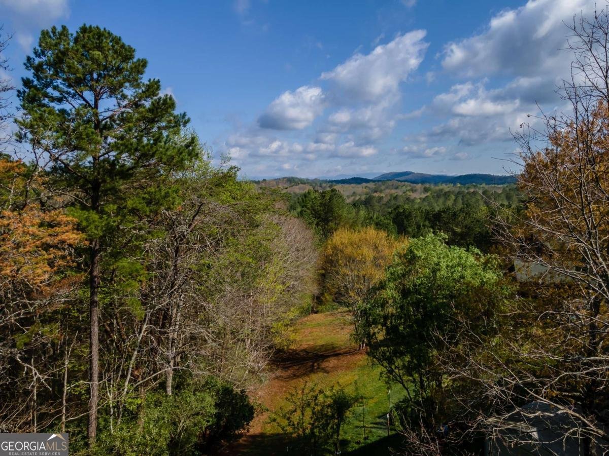 252 Brookhaven Drive Blairsville - 42