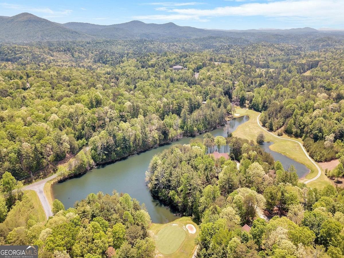 112 Seneca Drive Ellijay - 29