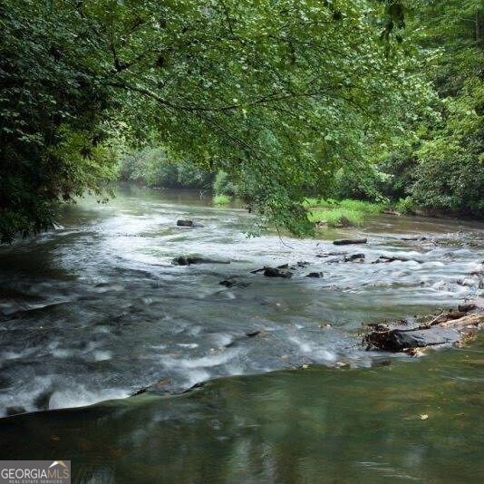 112 Seneca Drive Ellijay - 30