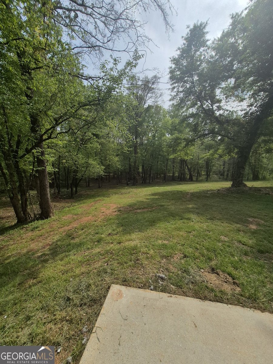 569 Vaughn Road Athens - 23
