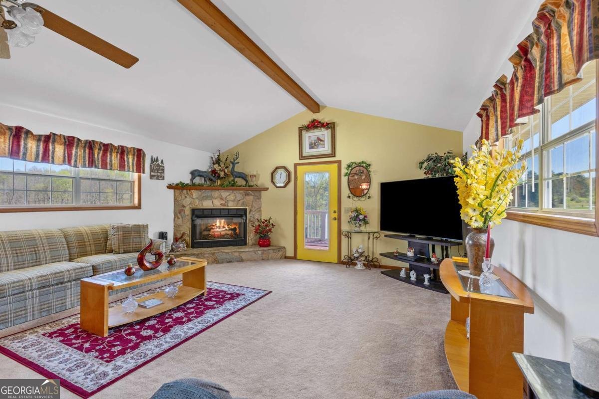 6360 Springwood Trail Young Harris - 20