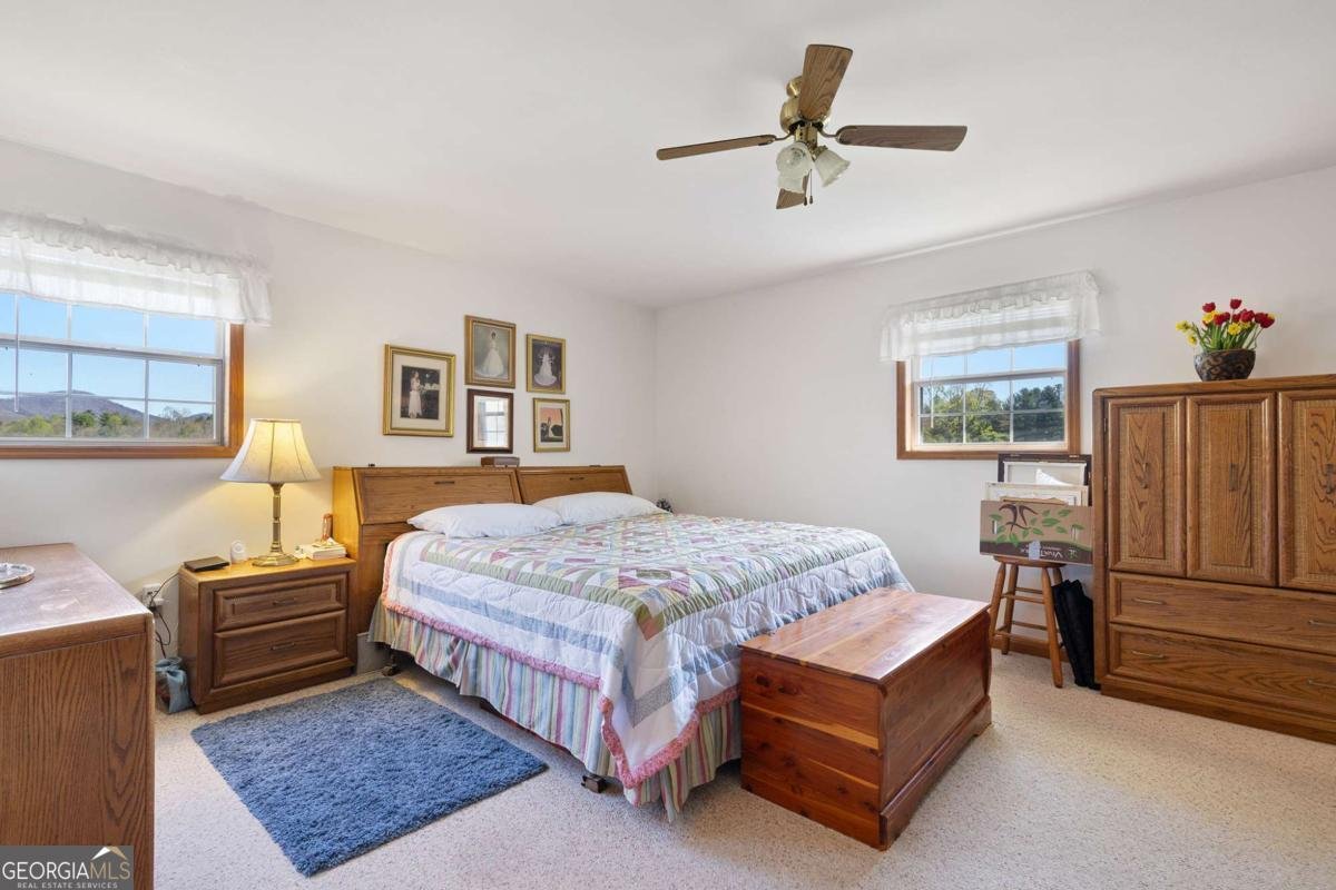 6360 Springwood Trail Young Harris - 23