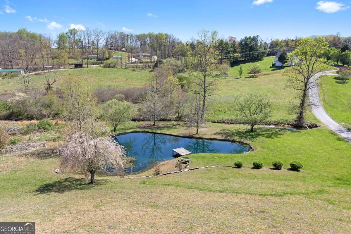 6360 Springwood Trail Young Harris - 33