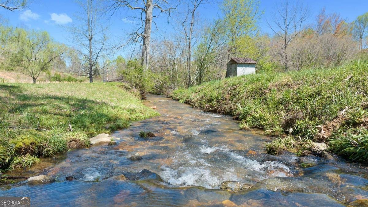6360 Springwood Trail Young Harris - 4