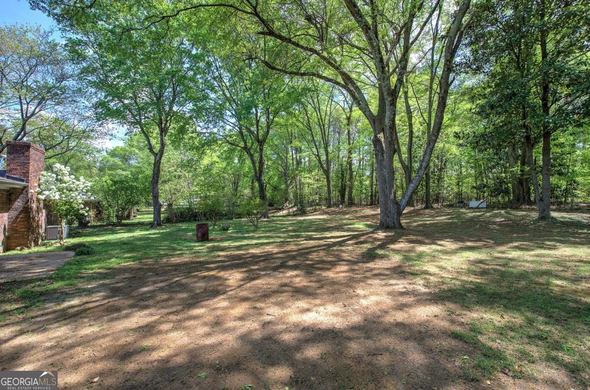 4361 Stanley Drive Powder Springs - 29