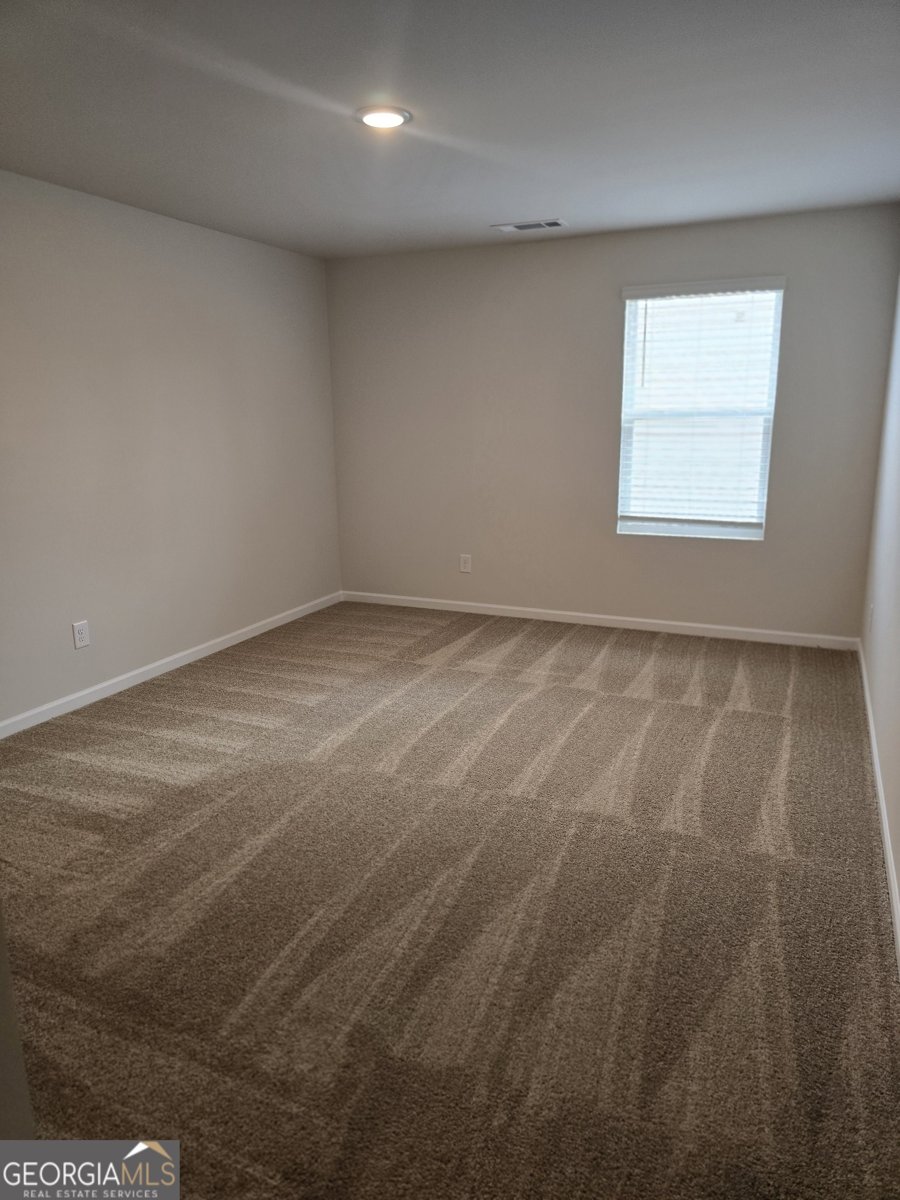 315 Lusitano Trace Hogansville - 20