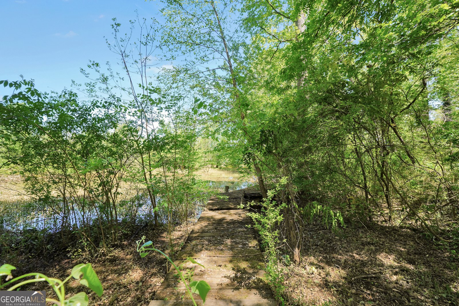 139 Cherokee Drive Jackson - 15