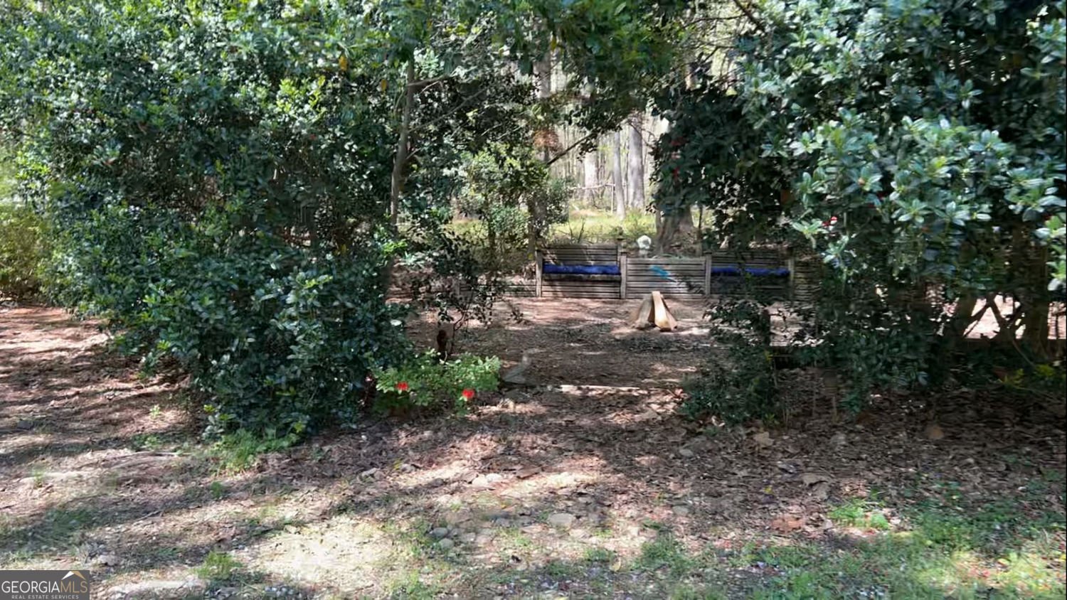 2230 Cammie Wages Road Dacula - 85