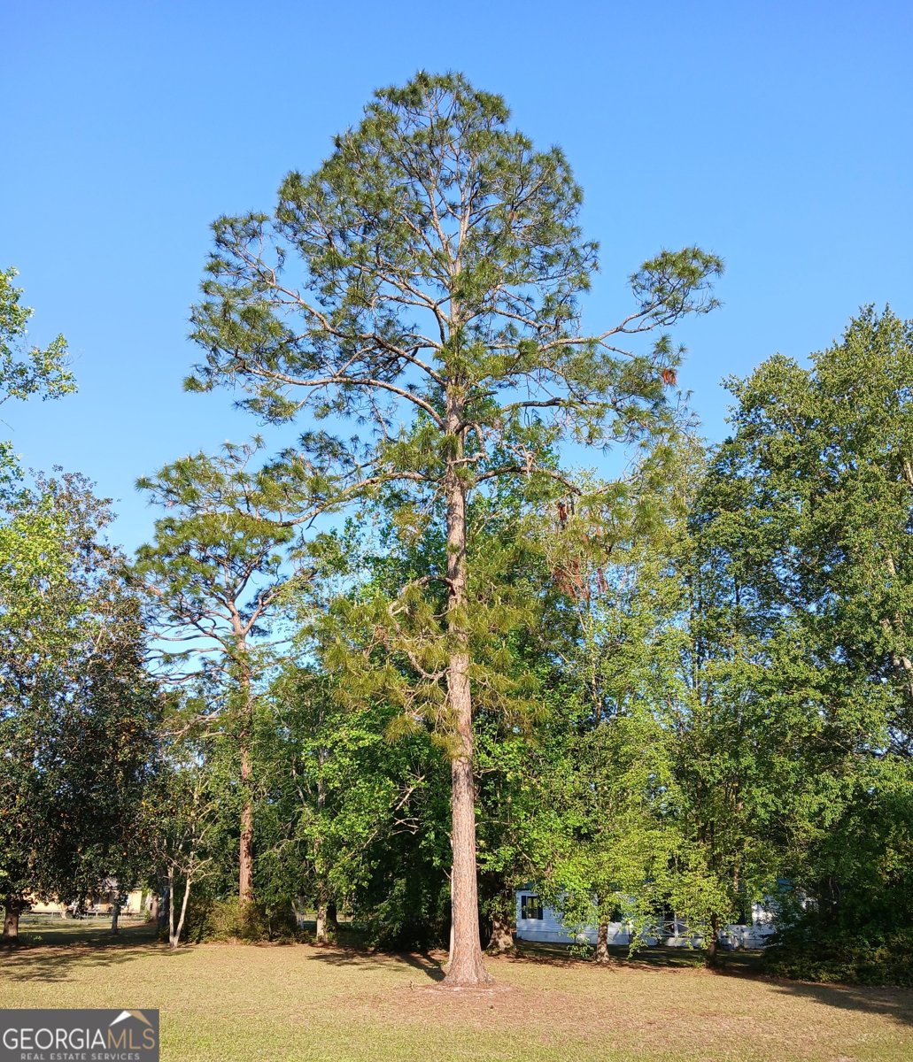 235 Magnolia Street Folkston - 14