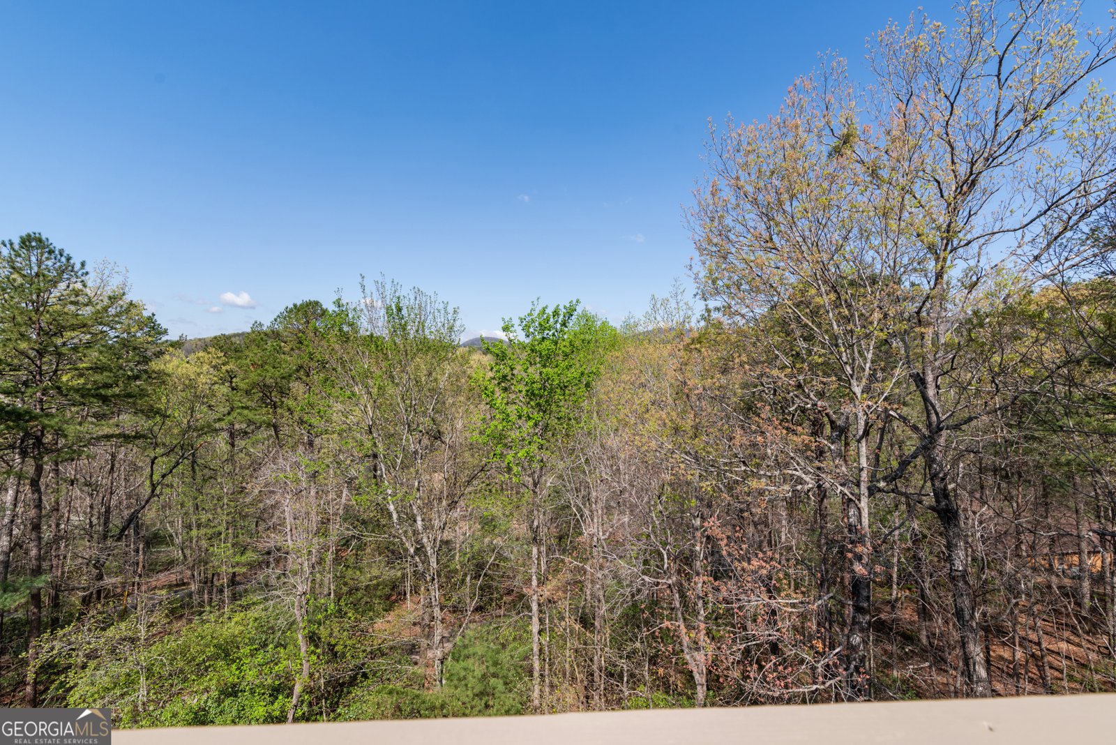 731 Woodland Sautee Nacoochee - 58