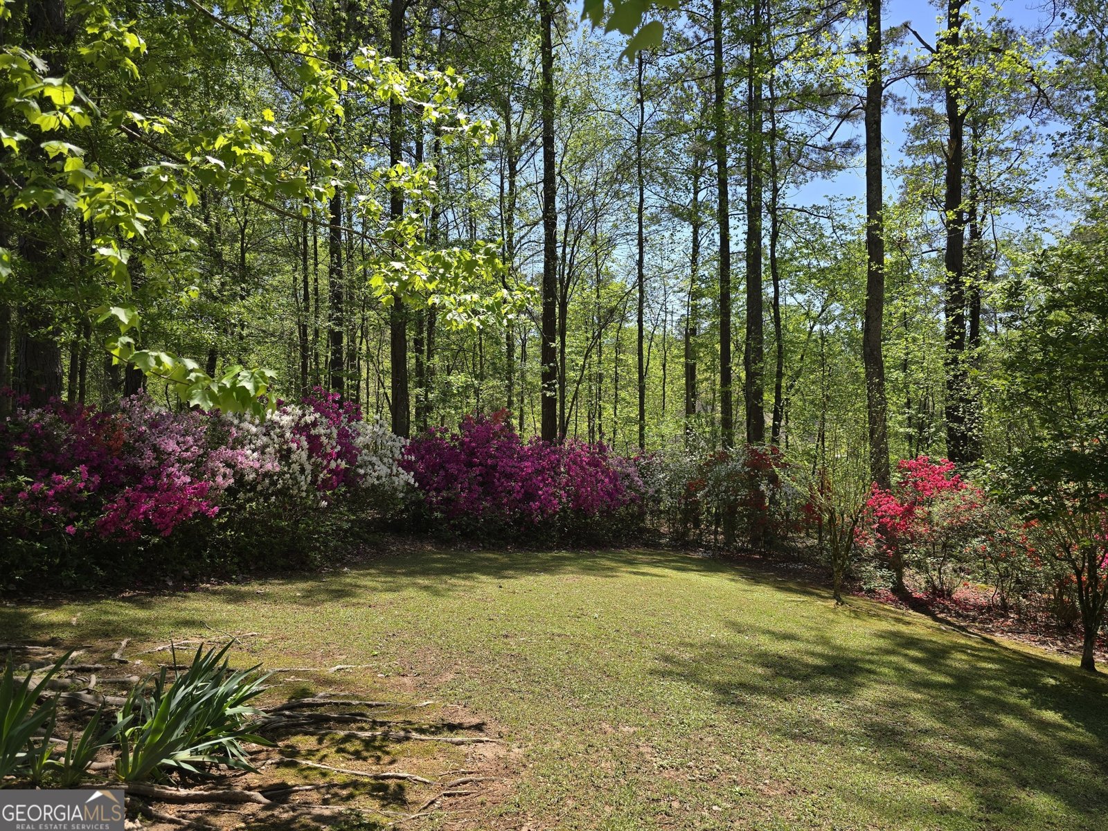 210 Sweetwater Drive Fayetteville - 16