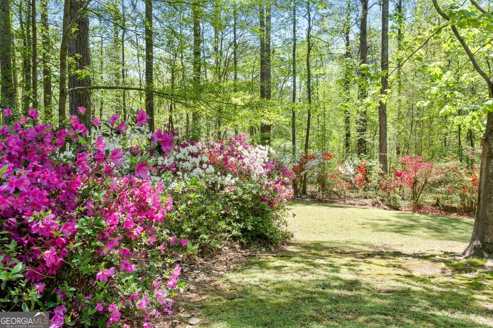 210 Sweetwater Drive Fayetteville - 56