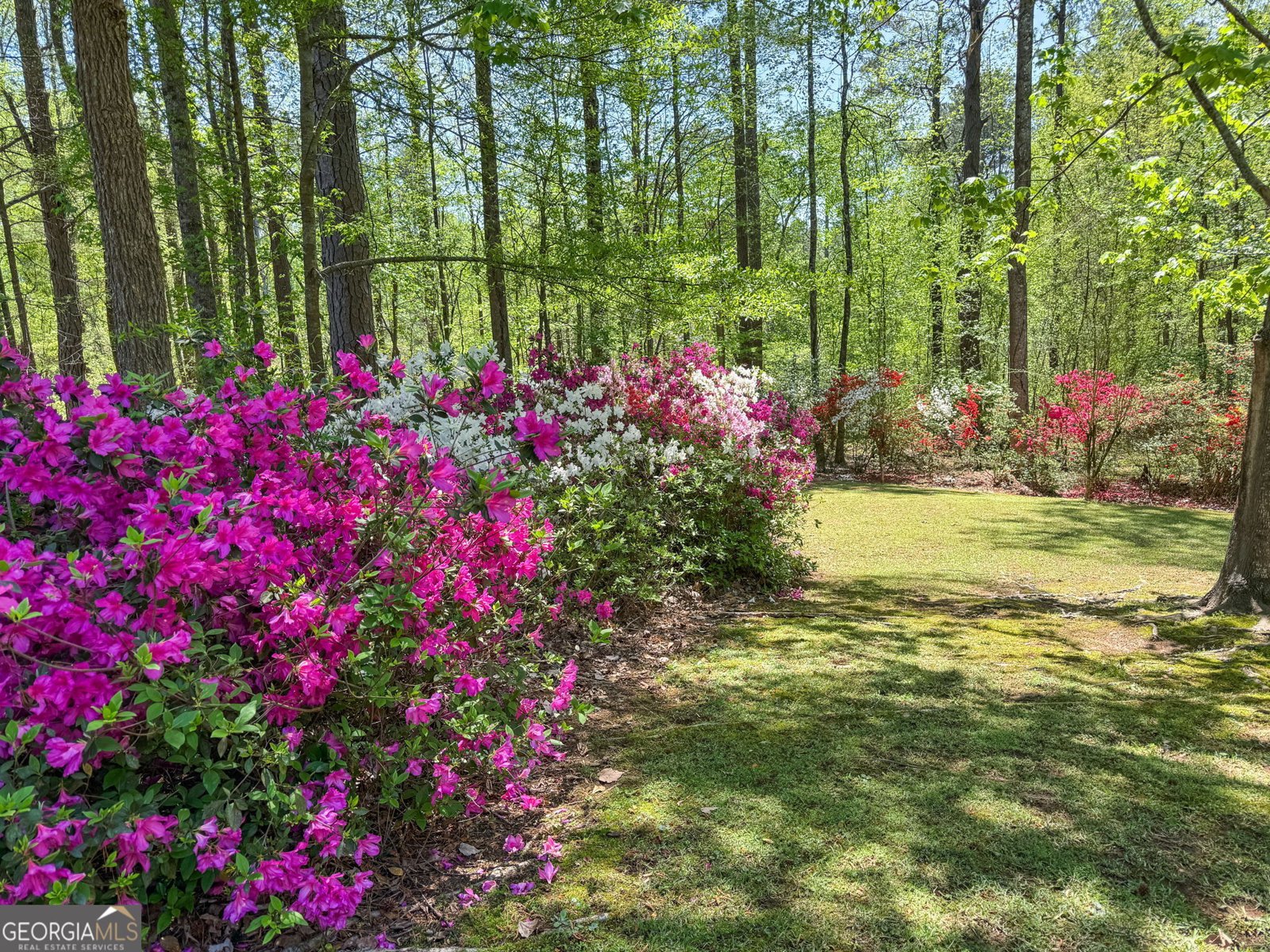 210 Sweetwater Drive Fayetteville - 9