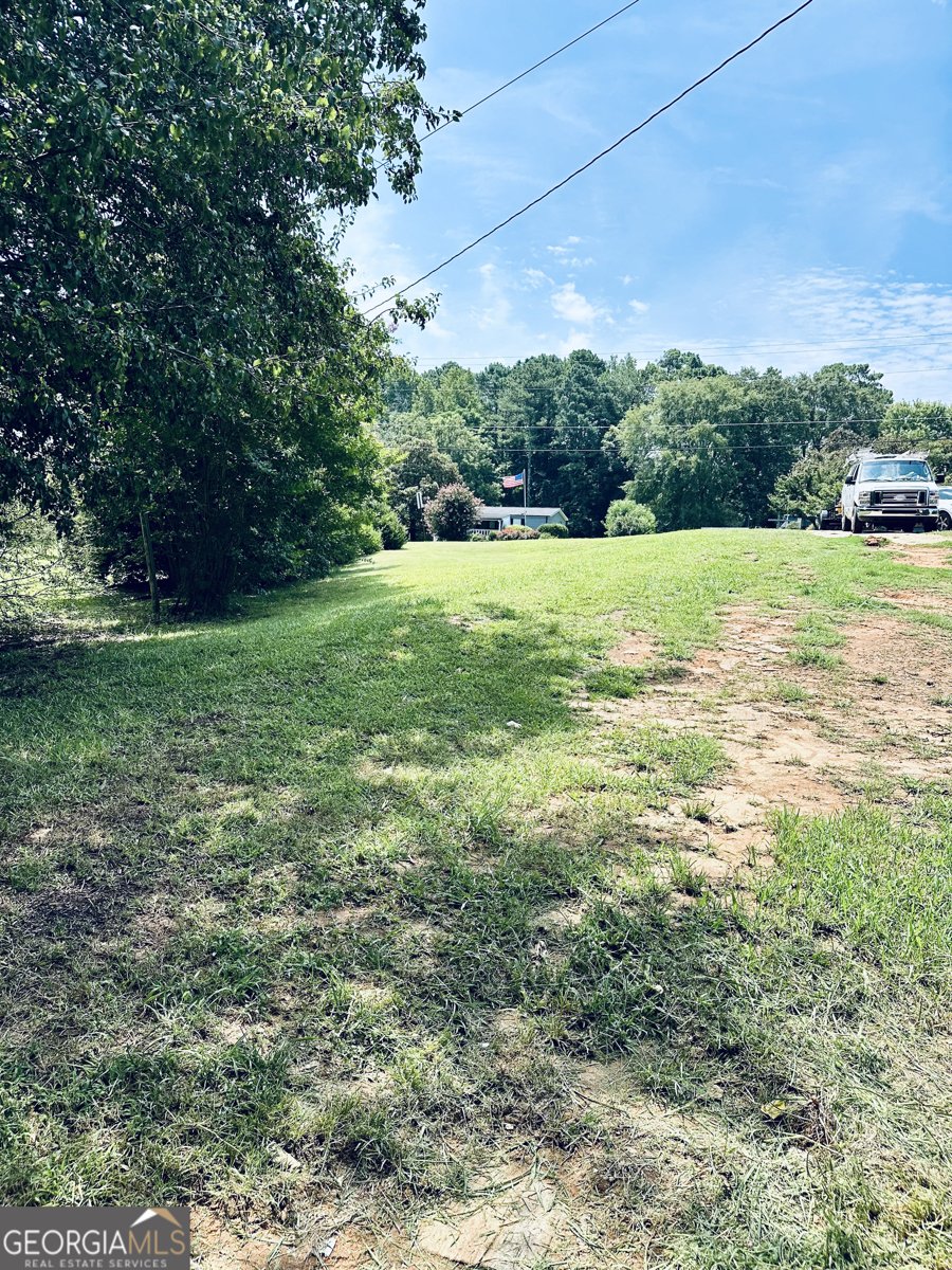 4199 Wagon Trail Loganville - Photo 42