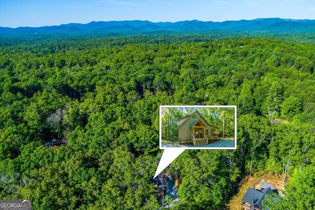 318 Lees Ride Mccaysville - 9