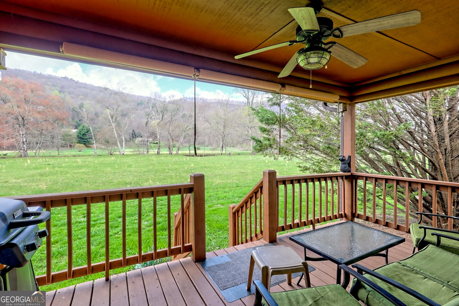 3556 Riverfront Lane Hiawassee - 13