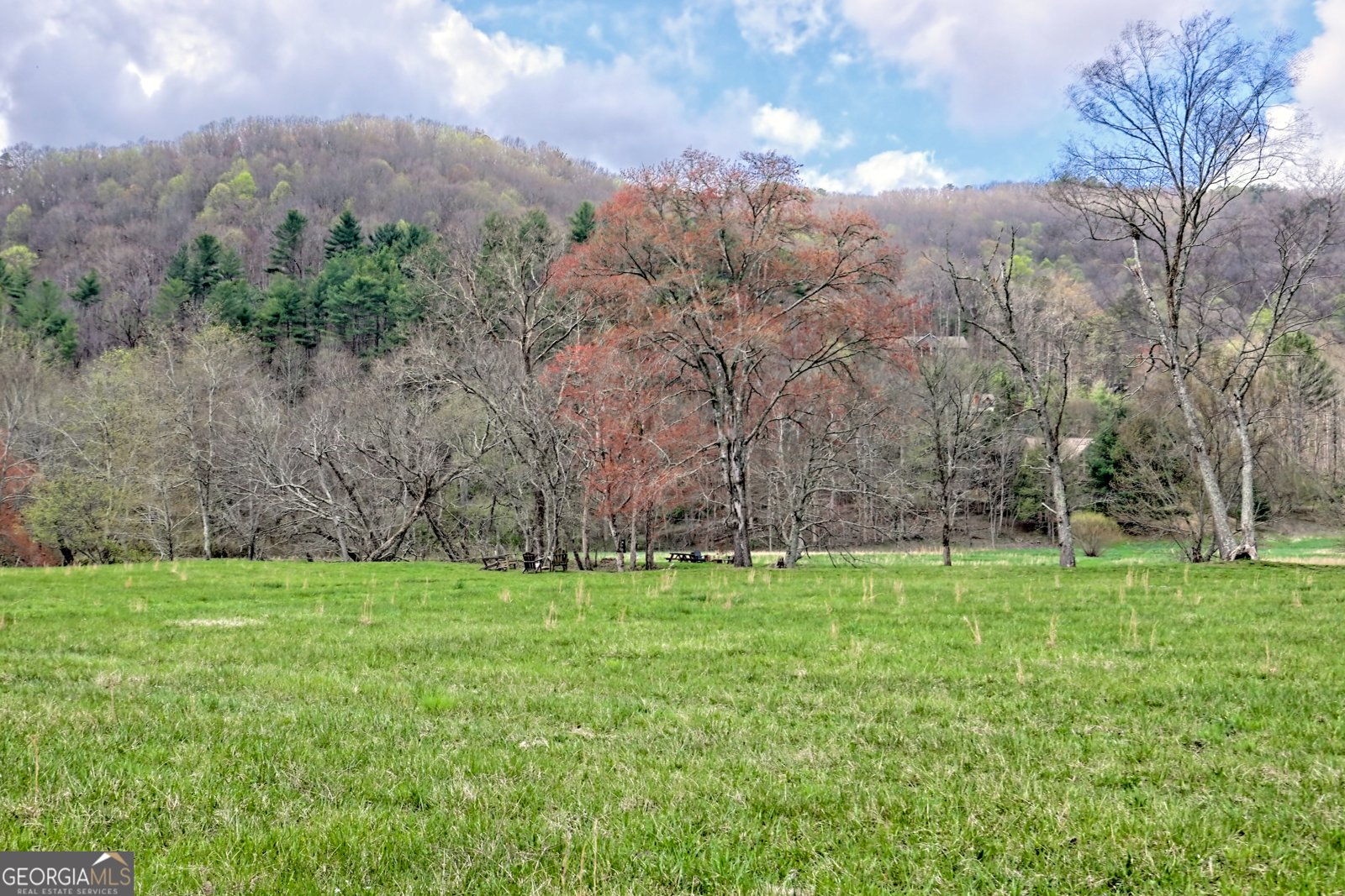 3556 Riverfront Lane Hiawassee - 36