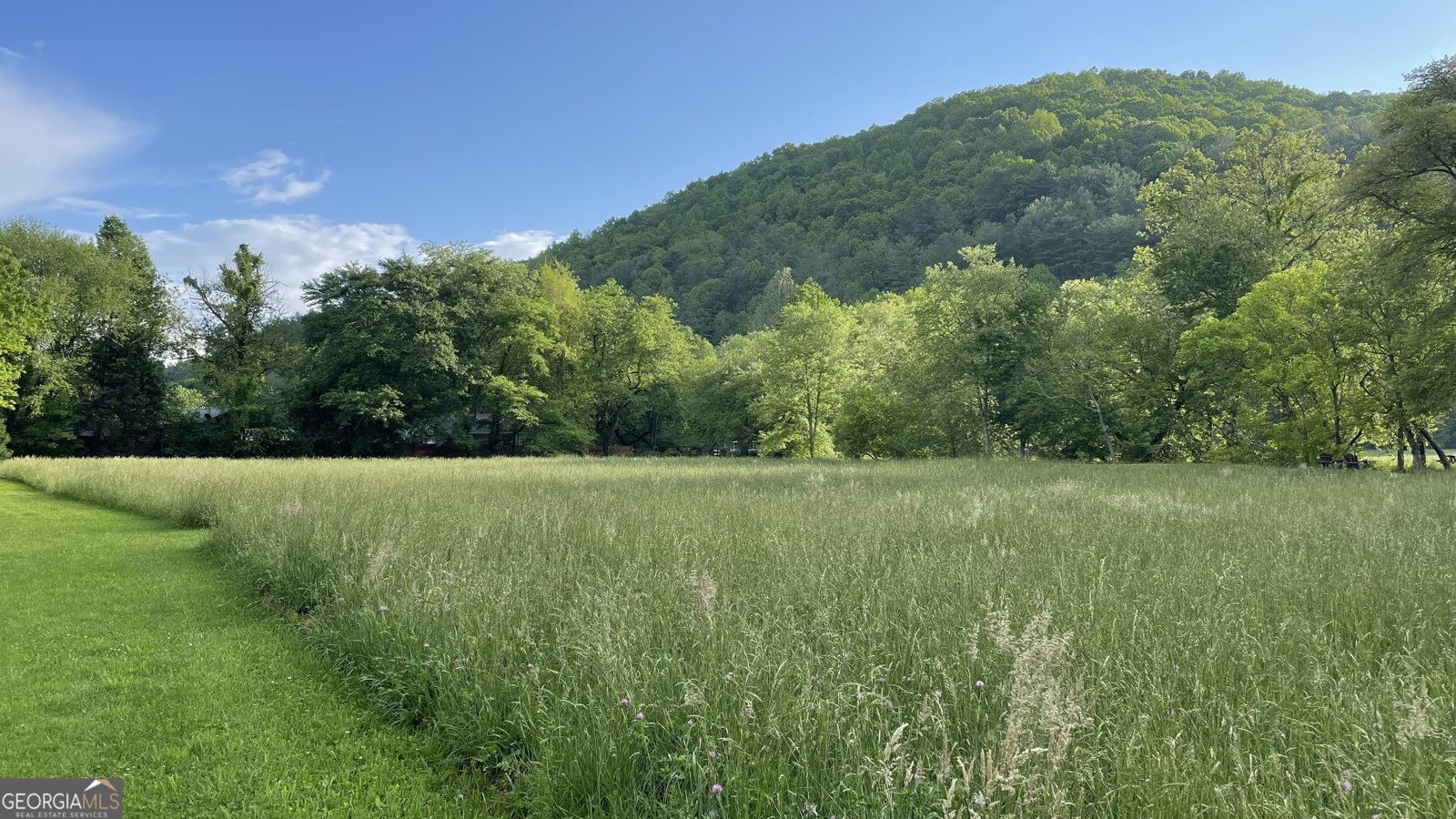 3556 Riverfront Lane Hiawassee - 40