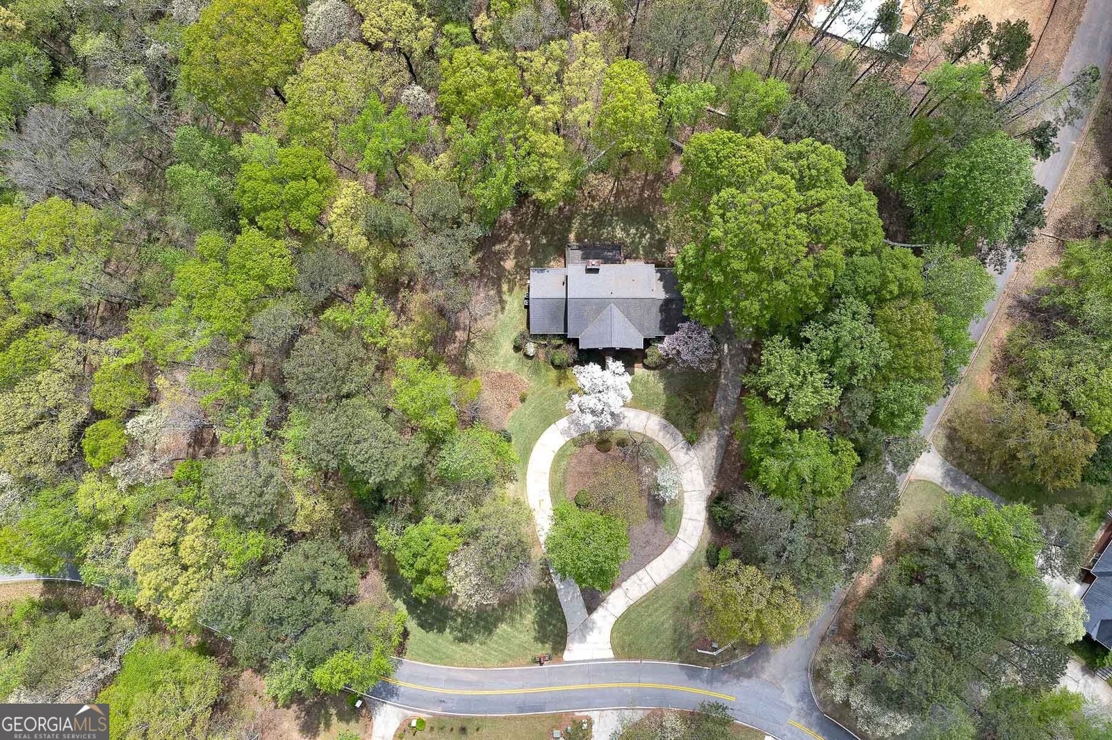 173 Darwish Drive McDonough - 2