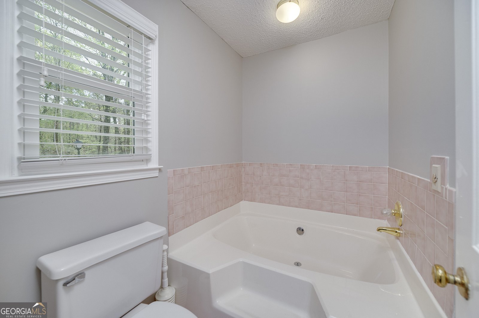 173 Darwish Drive McDonough - 27