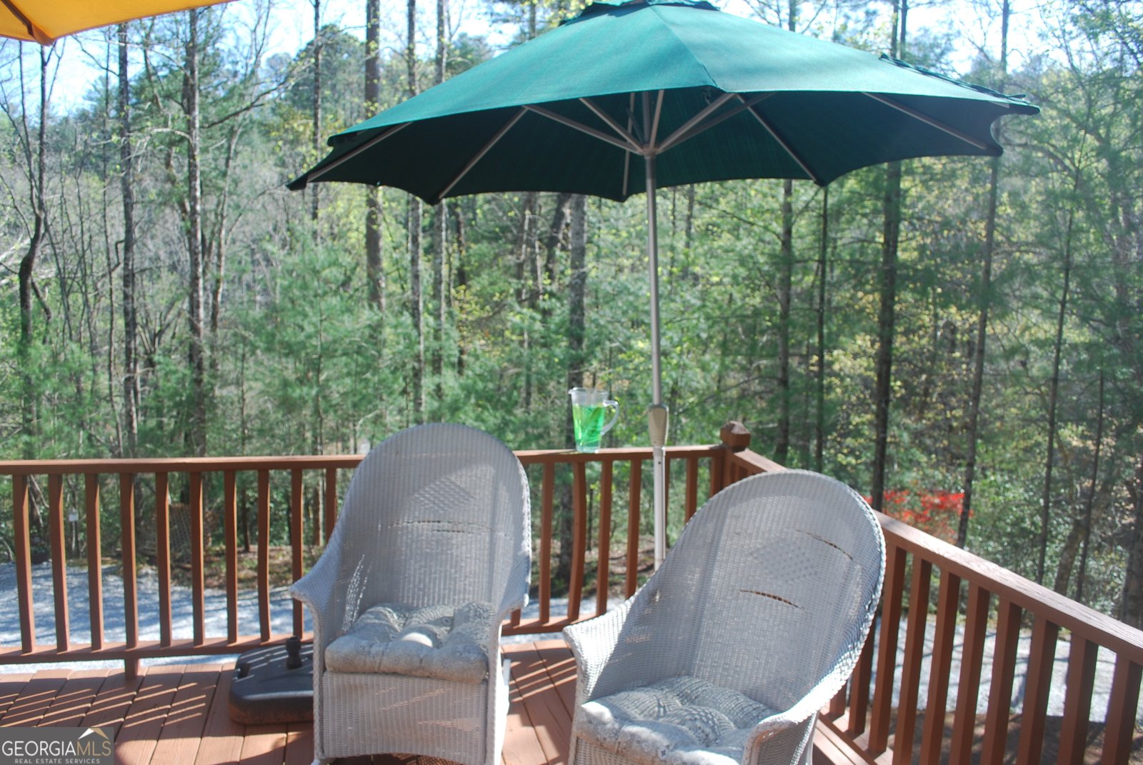 249 Spruce Creek Road Lakemont - 10