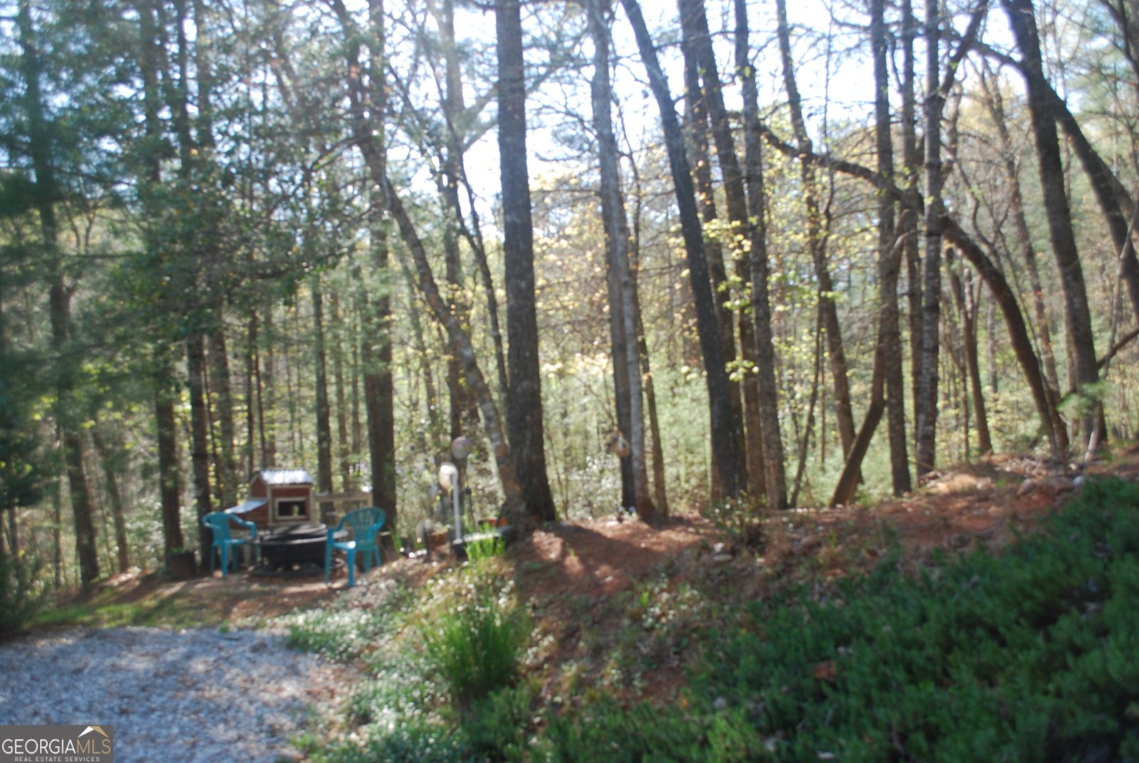 249 Spruce Creek Road Lakemont - 37