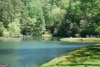 249 Spruce Creek Road Lakemont - 40