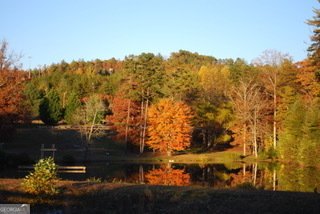 249 Spruce Creek Road Lakemont - 44