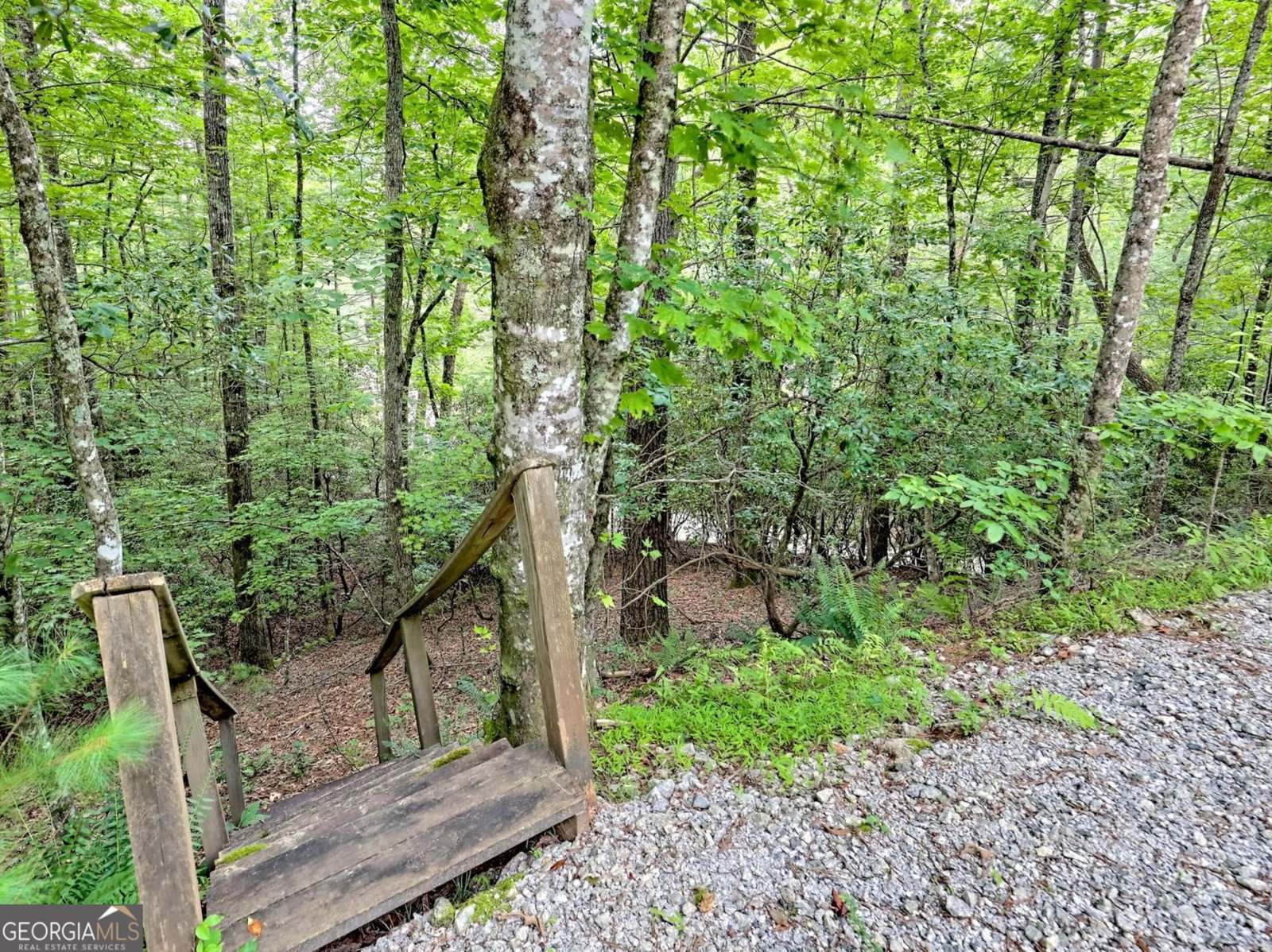 249 Spruce Creek Road Lakemont - 51