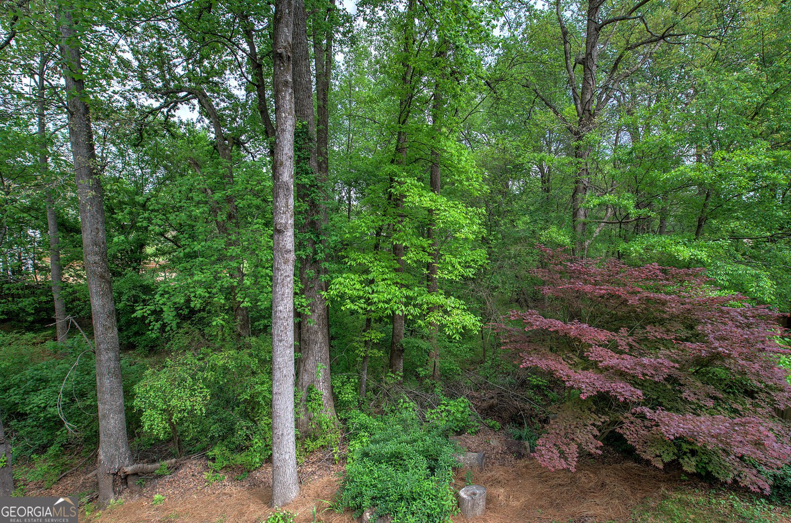 1043 Middlebrooke Drive Canton - 75