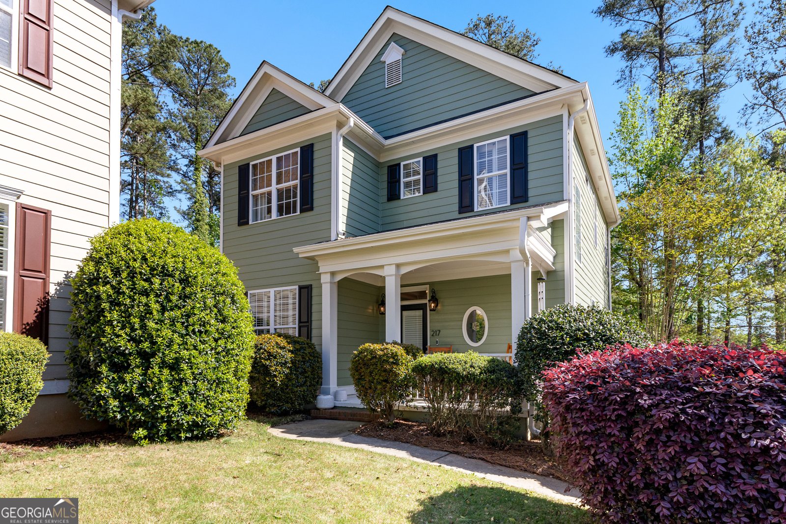 217 Christina Court Peachtree City - 1