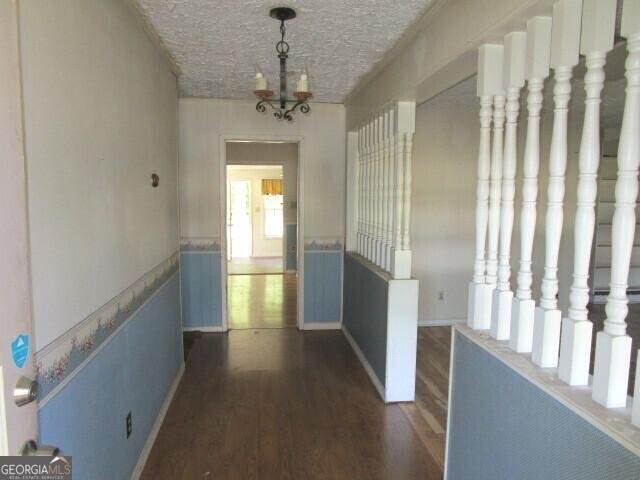 103 Sycamore Street Gordon - 14