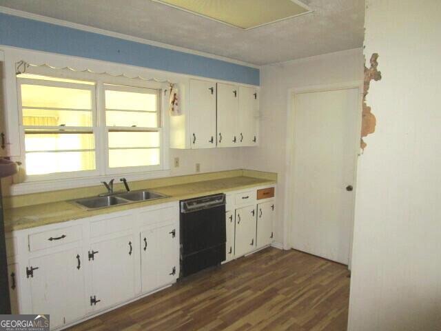 103 Sycamore Street Gordon - 21