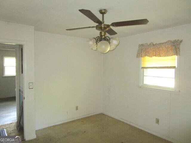 103 Sycamore Street Gordon - 30