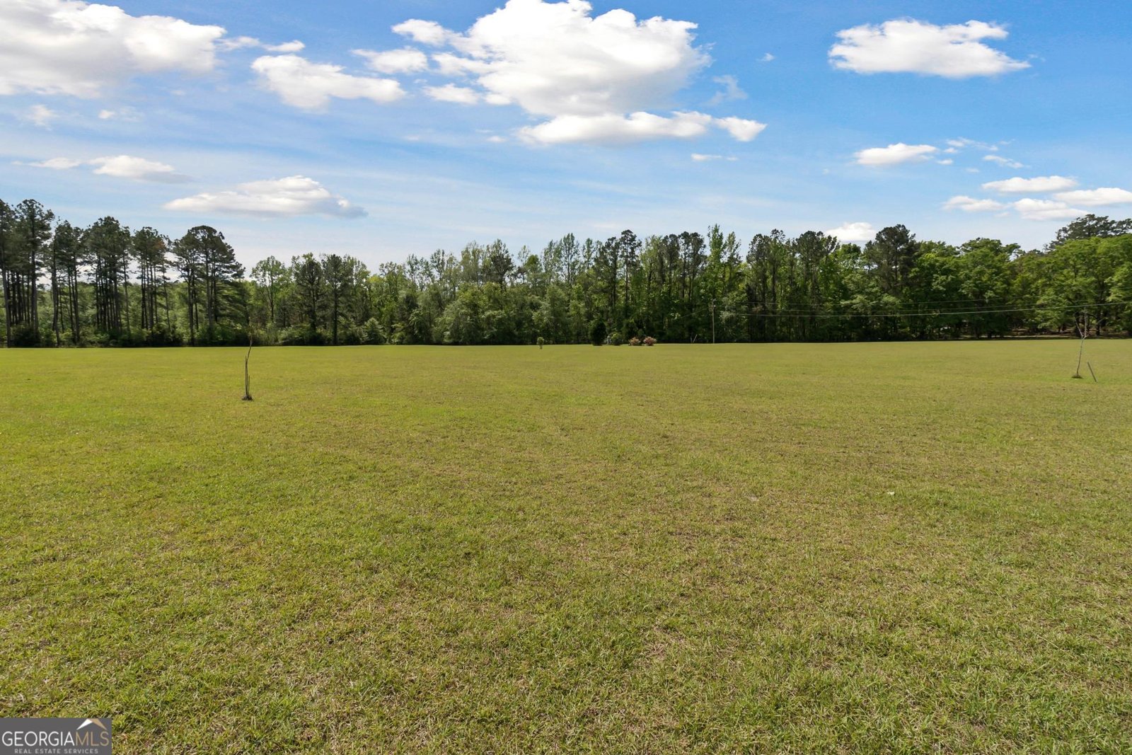 2571 Edgar Hodges Road Claxton - 4