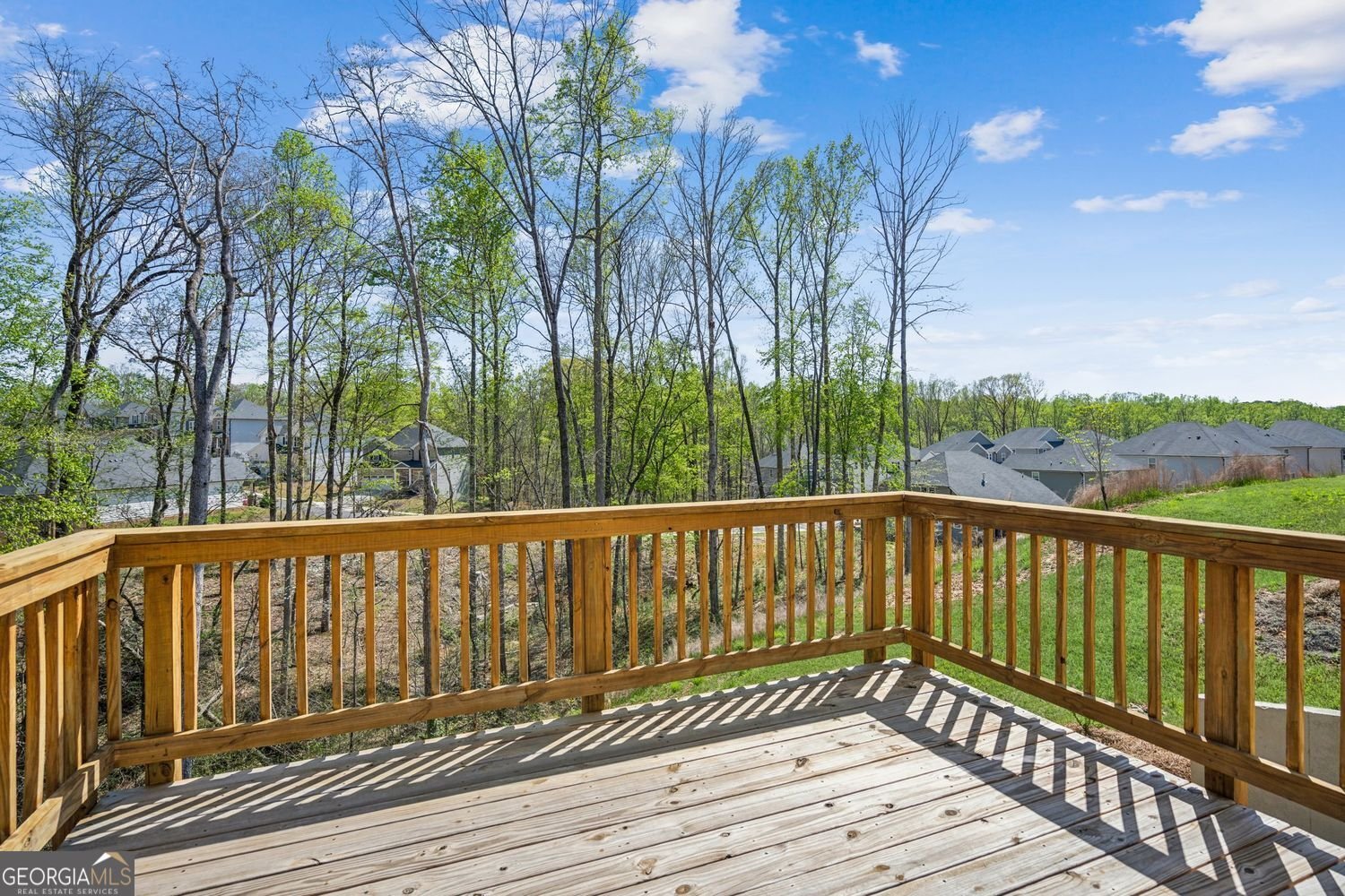 164 Long Leaf Street Dawsonville - 15