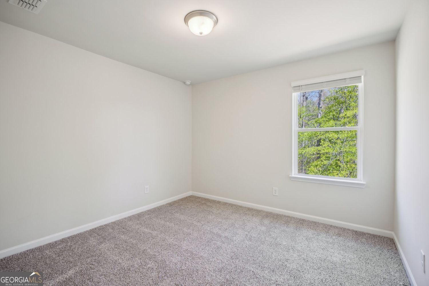 164 Long Leaf Street Dawsonville - 27