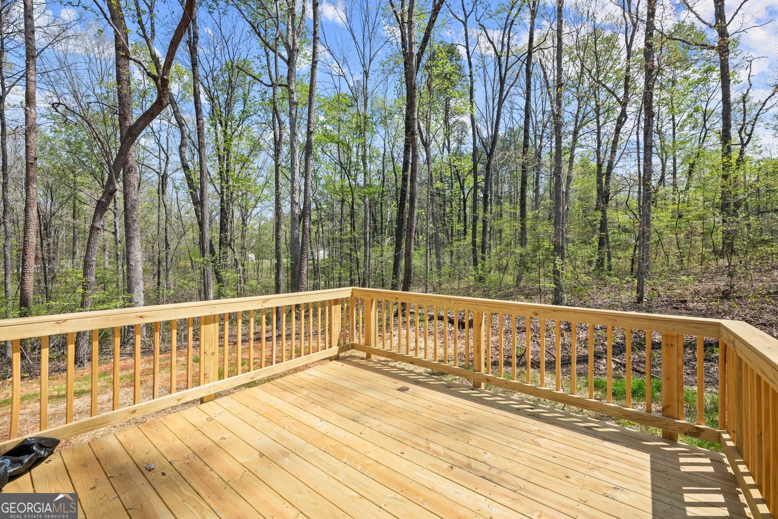 123 Lakeside Trail Martin - 36
