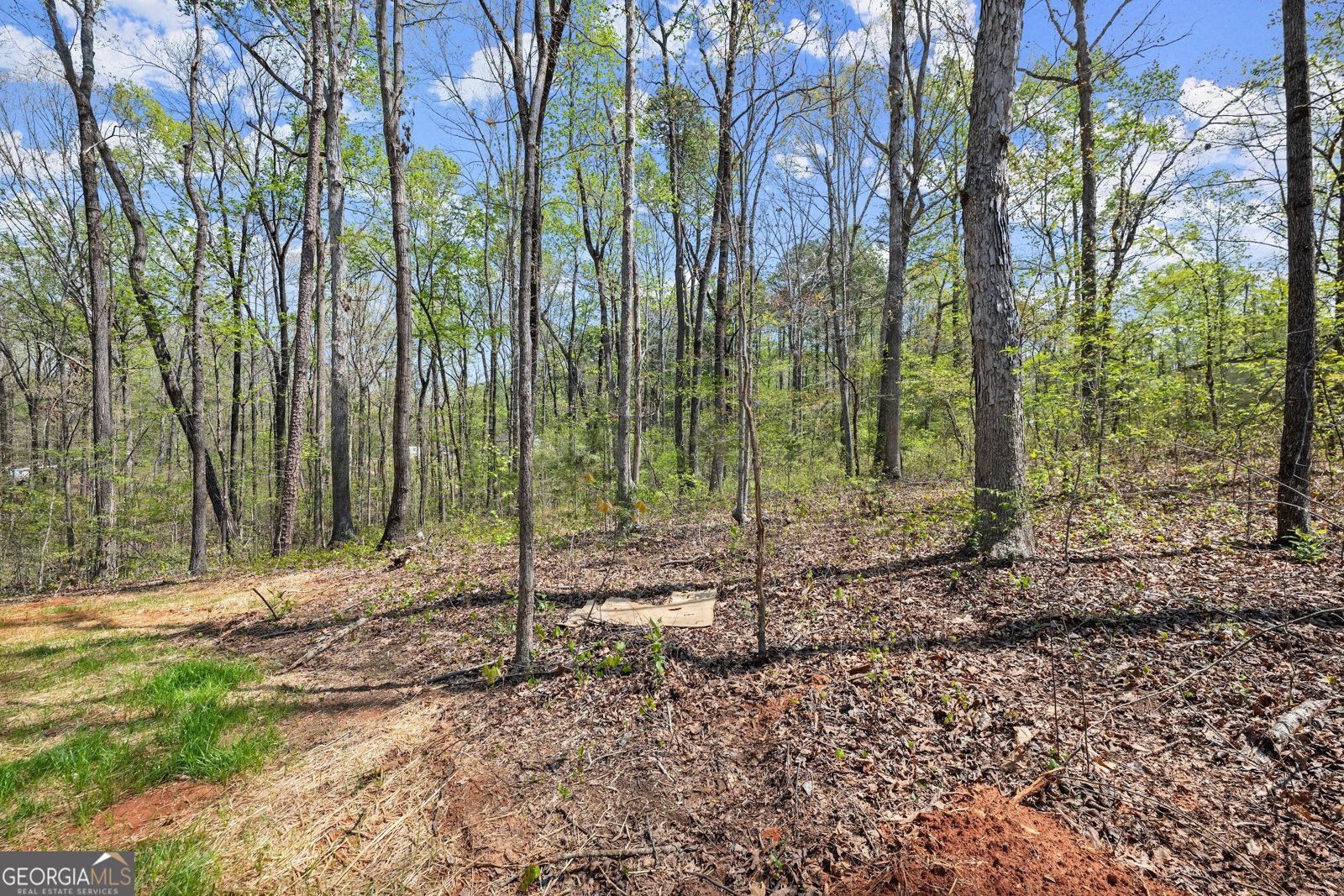 123 Lakeside Trail Martin - 37