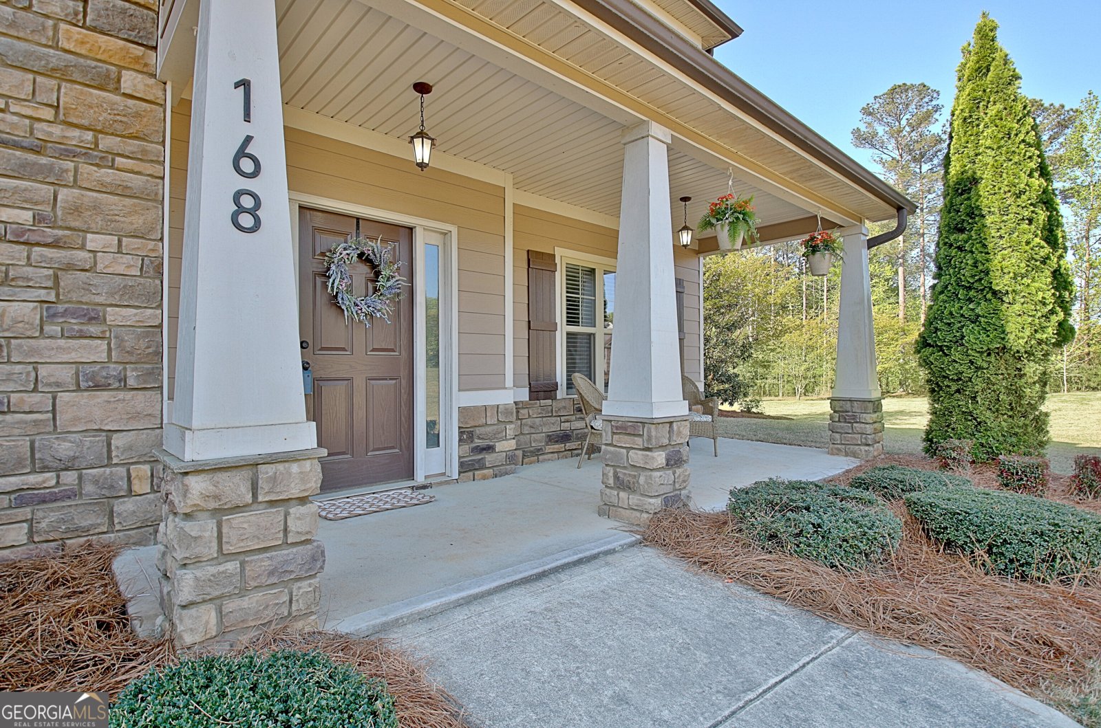 168 Fox Hall Crossing Senoia - 10