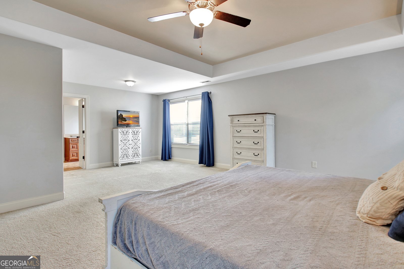 168 Fox Hall Crossing Senoia - 49