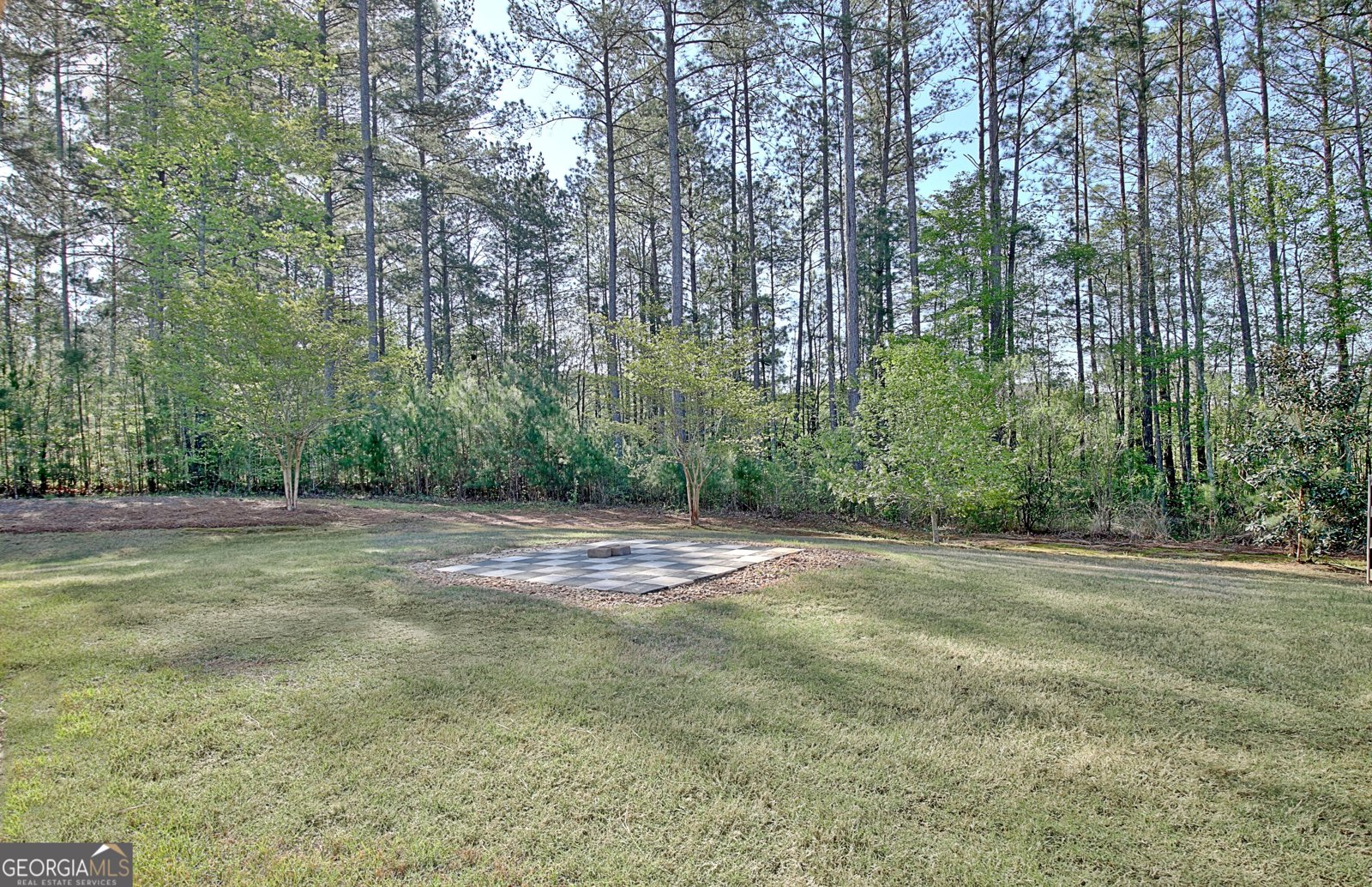 168 Fox Hall Crossing Senoia - 90