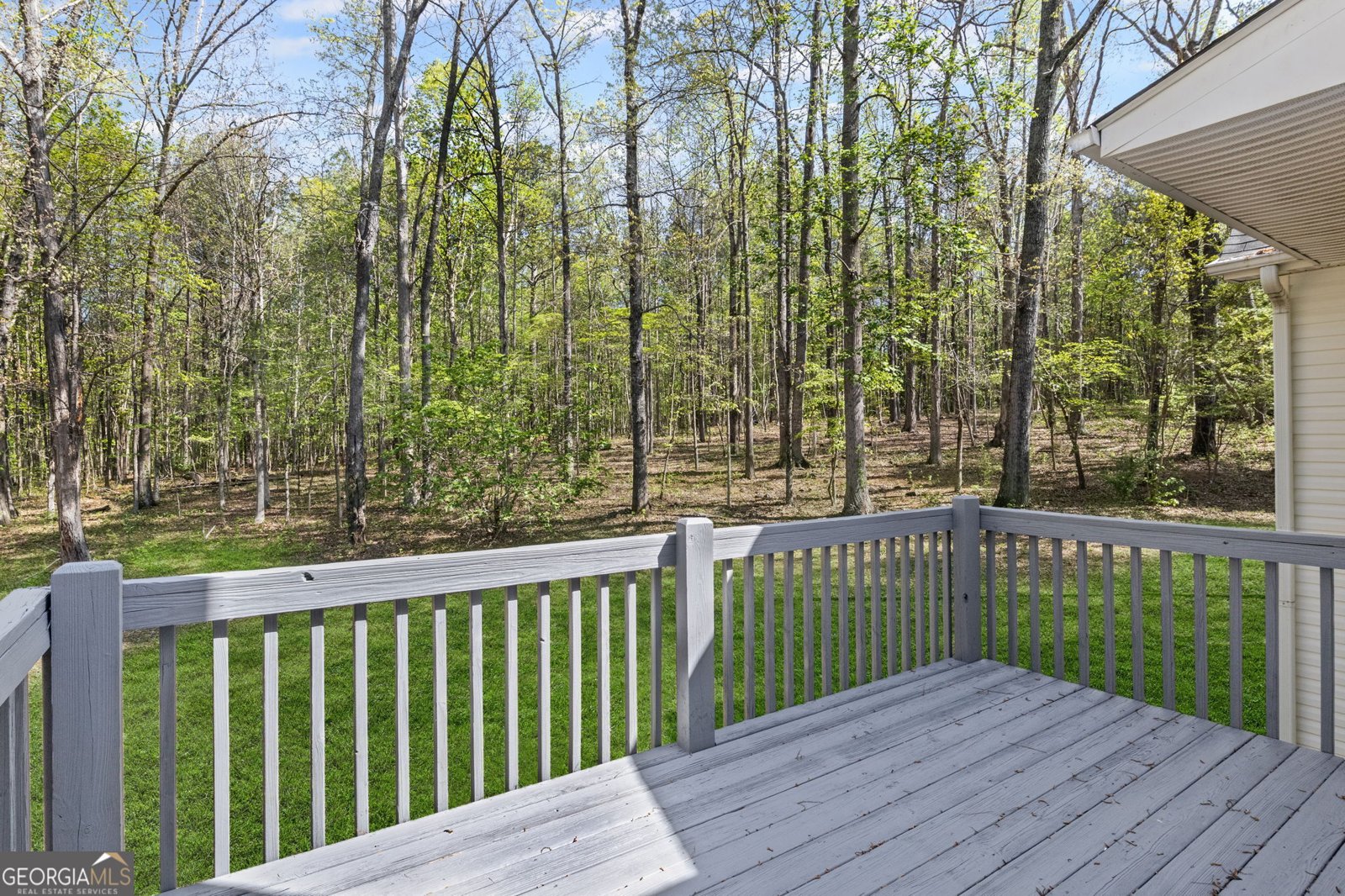185 Cold Harbor Court Sharpsburg - 44