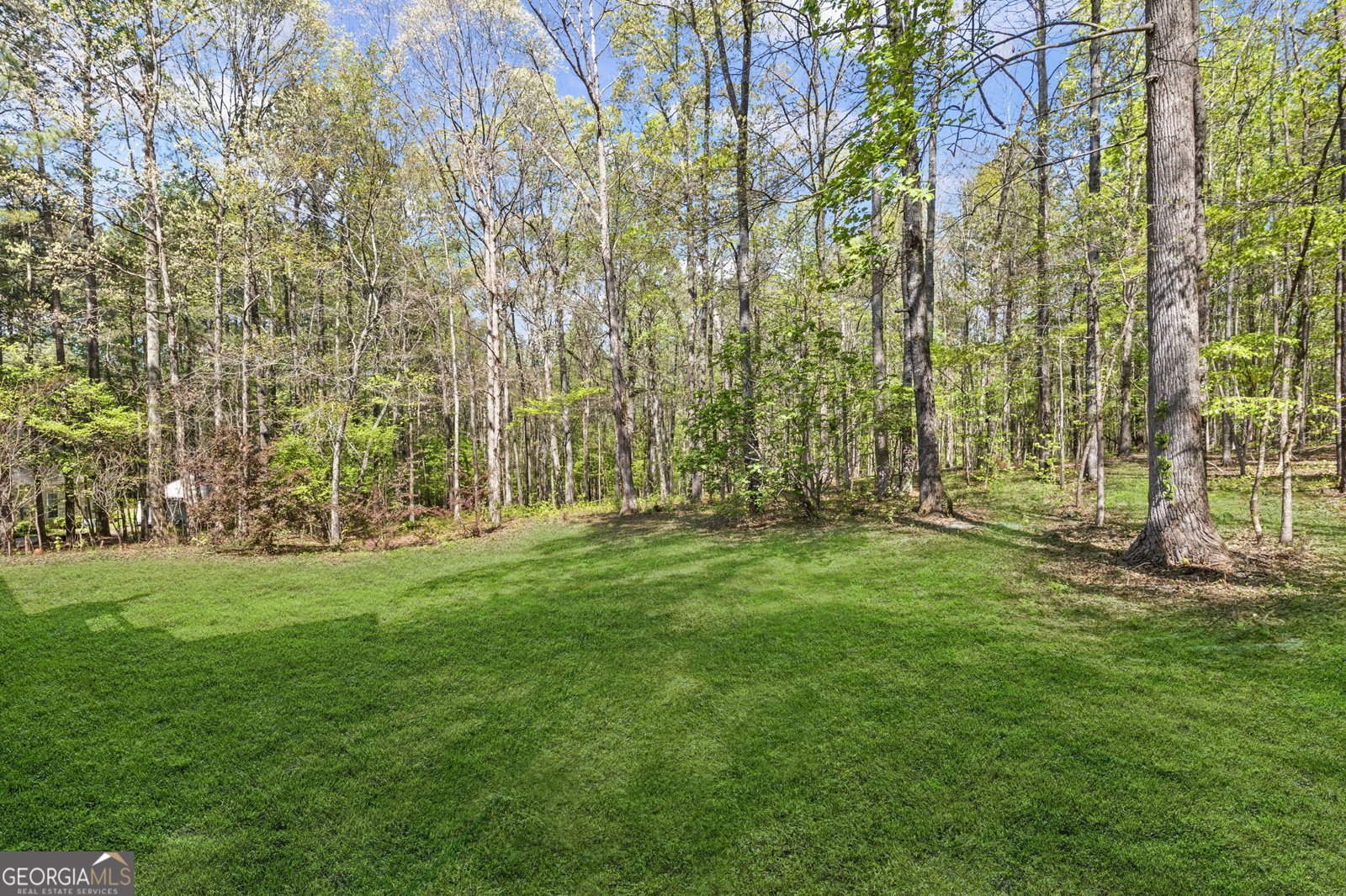 185 Cold Harbor Court Sharpsburg - 48