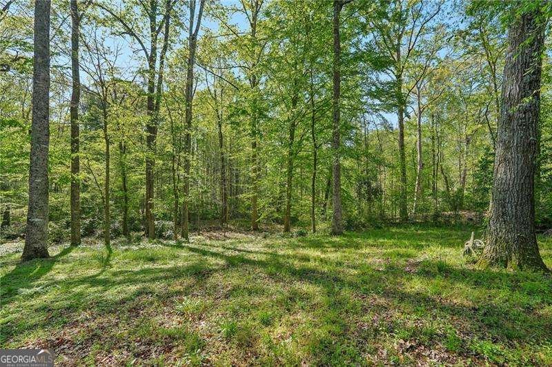 230 Oakmere Drive Alpharetta - 55