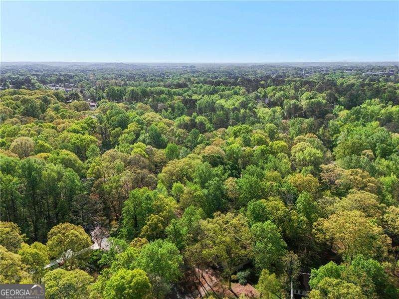 230 Oakmere Drive Alpharetta - 62