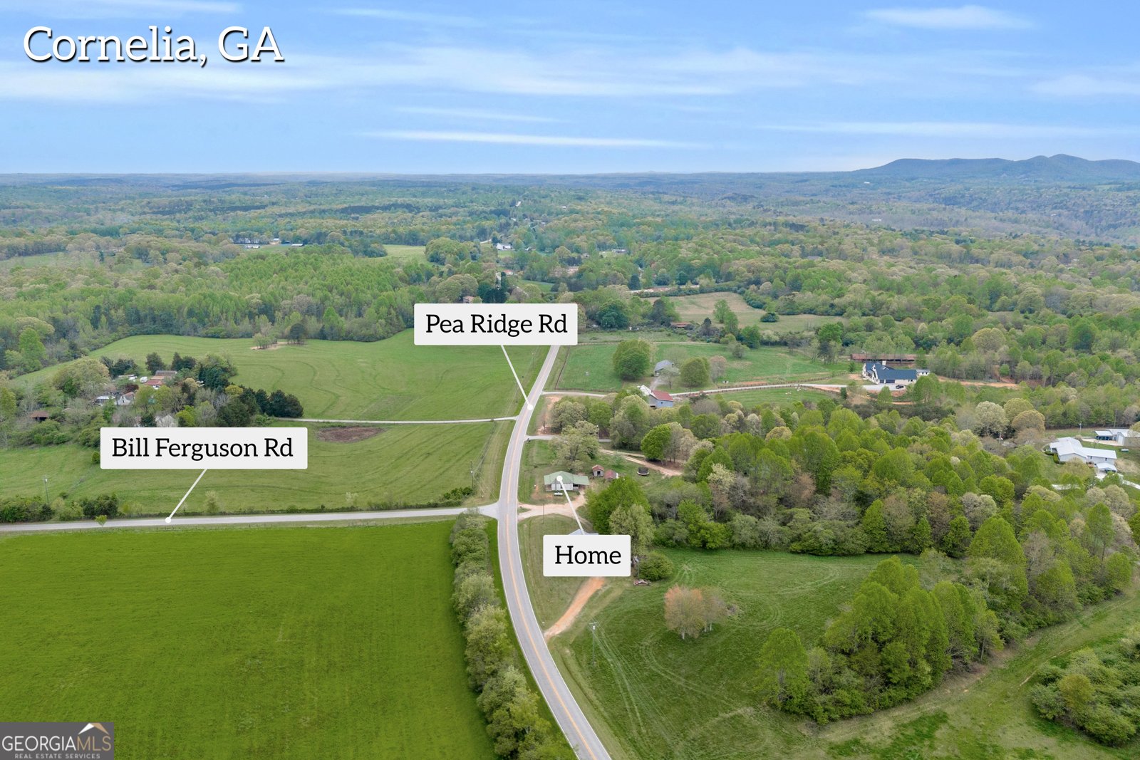3133 Pea Ridge Road Cornelia - 26